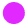 Join the Solid Suki Community